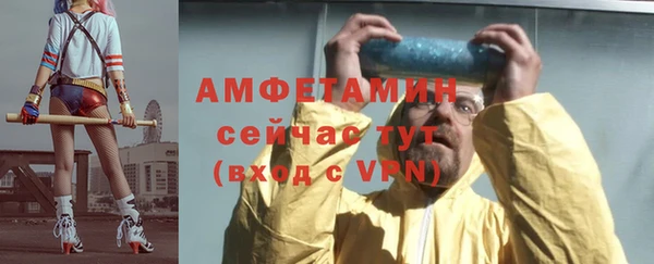 прущие крисы Бородино