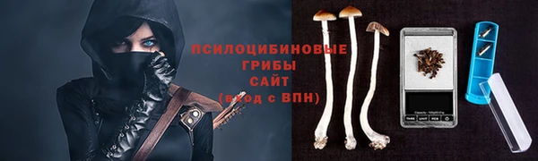 таблы Богородицк