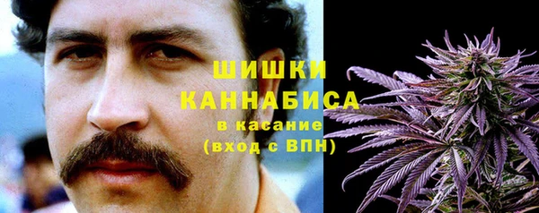 таблы Богородицк
