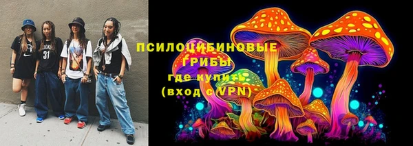 таблы Богородицк