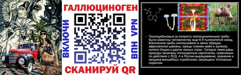 мориарти как зайти  Дальнереченск  Галлюциногенные грибы Psilocybe 